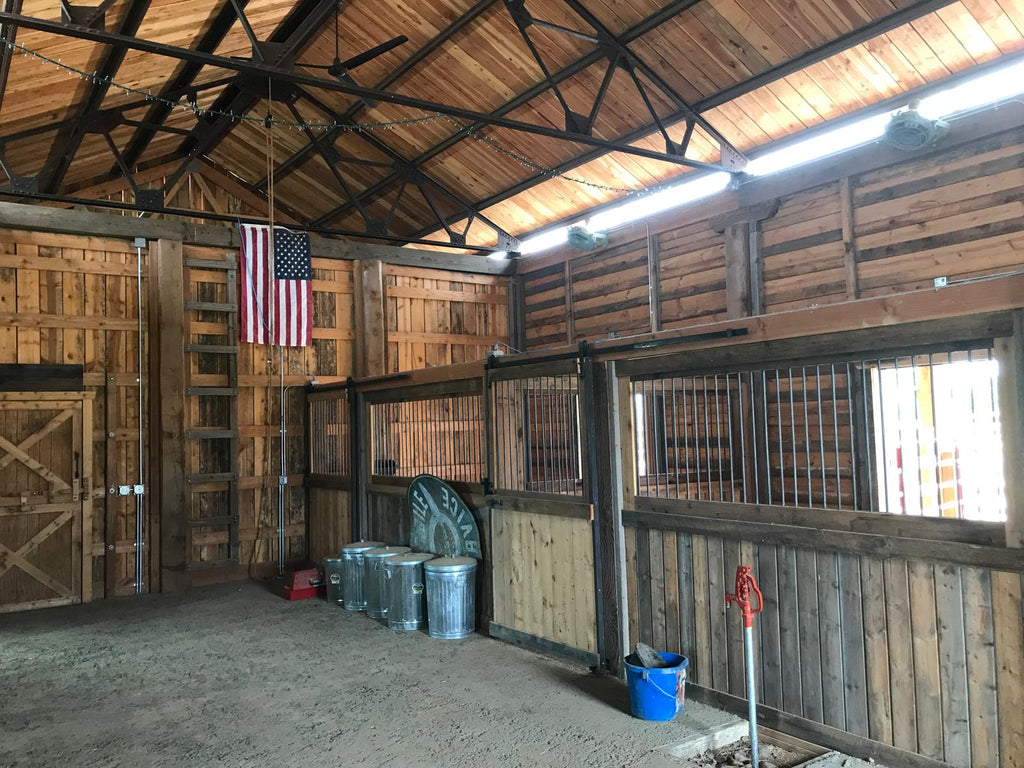 Dutch Doors & Stalls